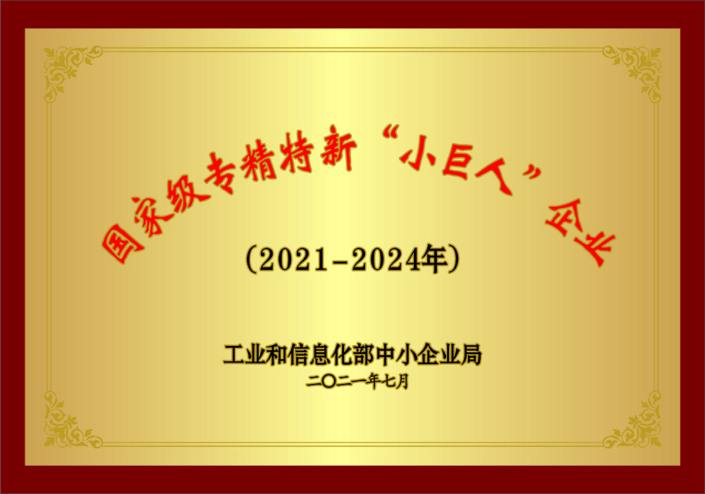 国家级专精特新“小巨人”企业